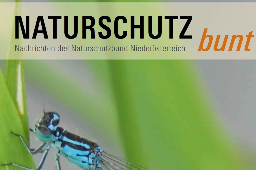 Naturschutz Bunt Archiv Naturschutzbund Nieder Sterreich